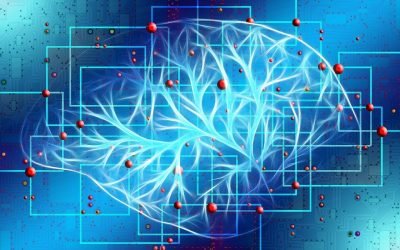 Mild Cognitive Impairment (MCI) or Dementia?