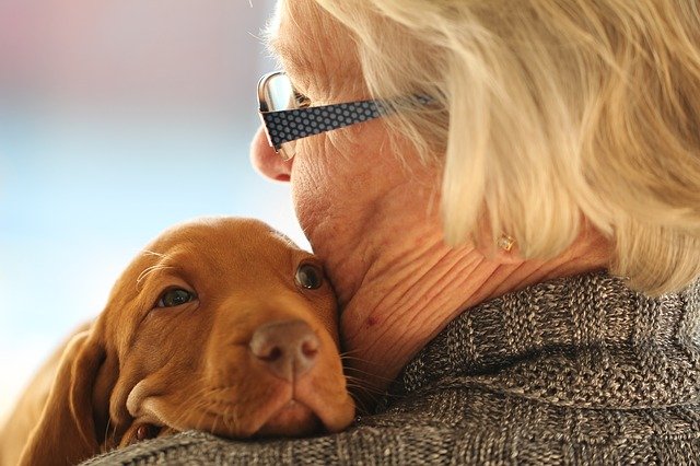 nurturing old woman/young dog pixabay